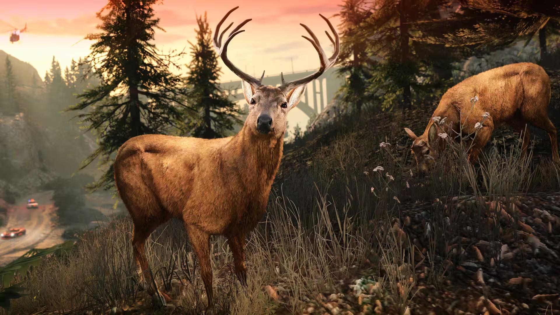 Ambient Animals Ambient Animals in GTA Online on PC